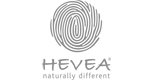 Hevea