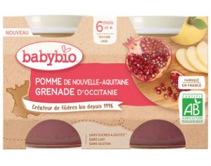 BABYBIO Mes Fruits - 2 x 130 g Pomme de Nouvelle Aquitaine & Grenade d'Occitanie - 6 mois