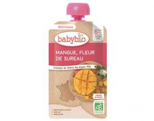 BABYBIO Gourde Fruits Unitaire - Ds 6 mois - 120g Mangue Fleur de Sureau