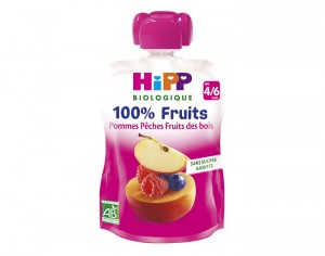 HIPP Gourde 100% Fruits - Ds 4 Mois - 90g Pomme Pche Fruits des Bois