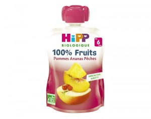 HIPP Gourde 100% Fruits - Ds 6 Mois - 90g Pomme Ananas Pche