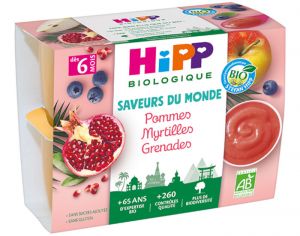 HIPP Coupelles Fruits Saveur du Monde - 4 x 100 g - Ds 6 mois Pommes Myrtilles Grenades